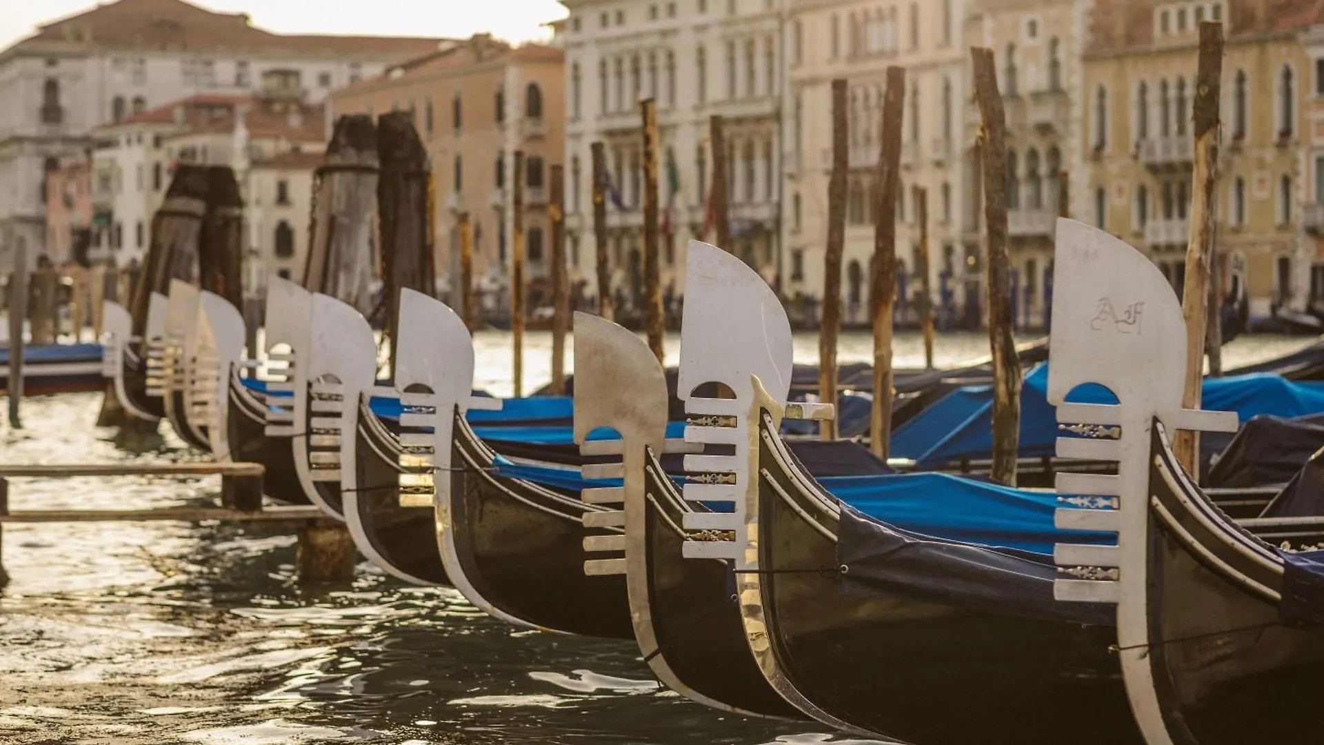 Venice Sweet Home - Your Home In A Beautiful Neighborhood Of The City Of Venice Favaro Veneto Apartment